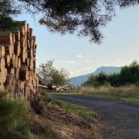 Tiny House De Tempoyrac Hébergement de vacances