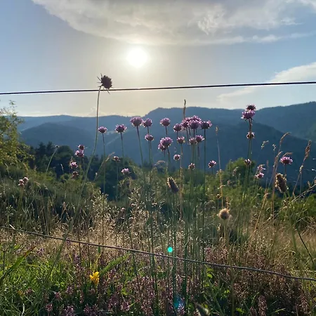 Tiny House De Tempoyrac La Rochette (Ardeche)