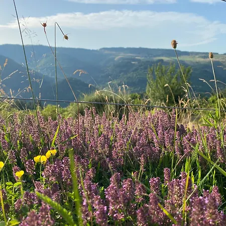 Hébergement de vacances Tiny House De Tempoyrac